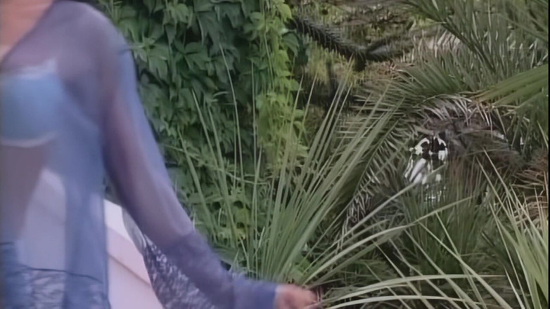 MMV Films: Sexy trojka a skupinové šukání venku