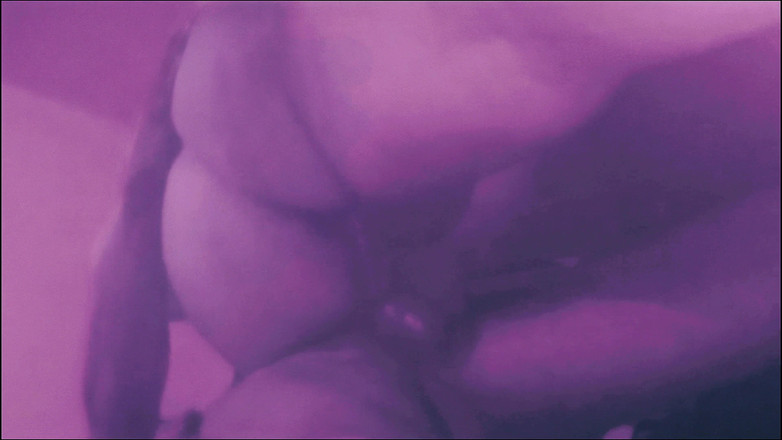 Lily & Theo: Le carnaval est le moment de pécher, pour me satisfaire...