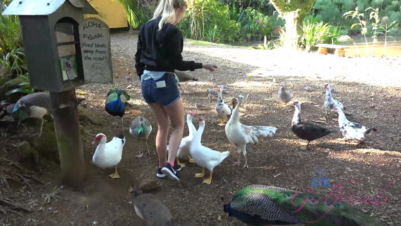 ATK Fans (Girlfriends): Virtual vacation in Hawaii with Bailey Brooke part 7