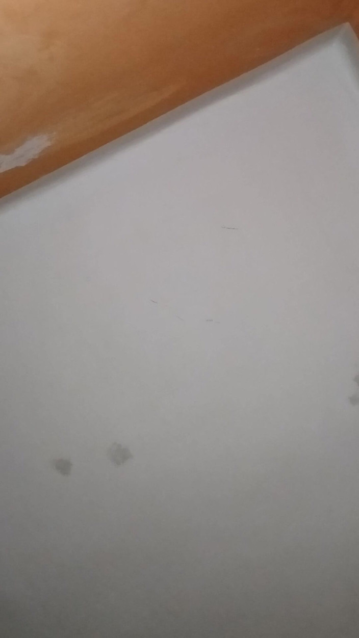 frapla: ダッチワイフアマチュア