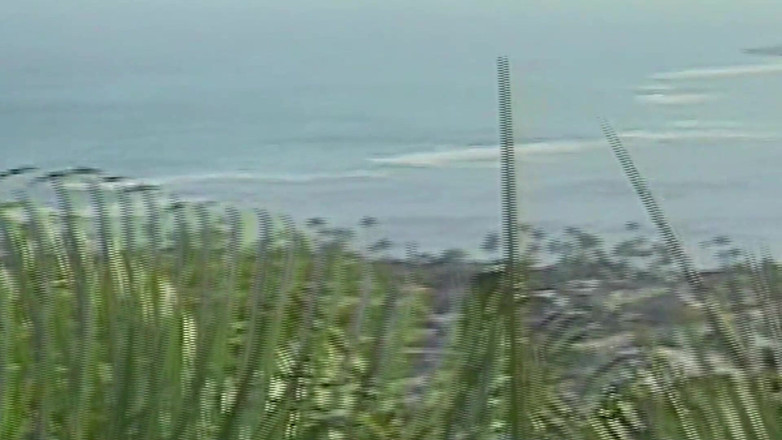 SEXUAL SIN GAY: Adegan lelaki antara kaum-2 dua orang asing berkongkek dalam pantat...