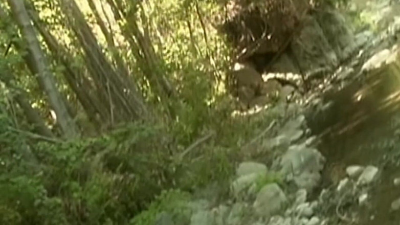 NAUGHTYPOLSKA: Awek blonde menjilat dan menghisap zakar di luar rumah