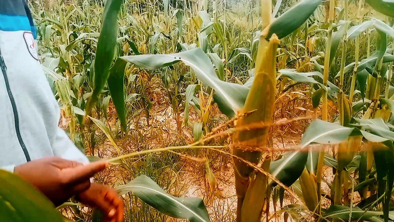 Judithxxx: 假期日