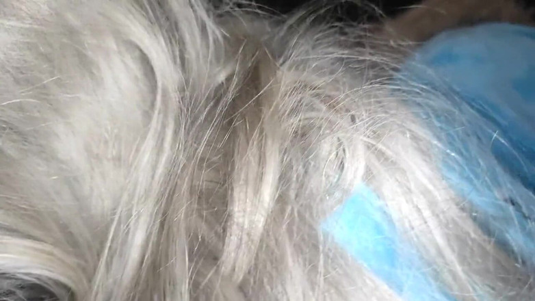 Taboo Room: Pequeña princesa en pijama de unicornio chupa polla