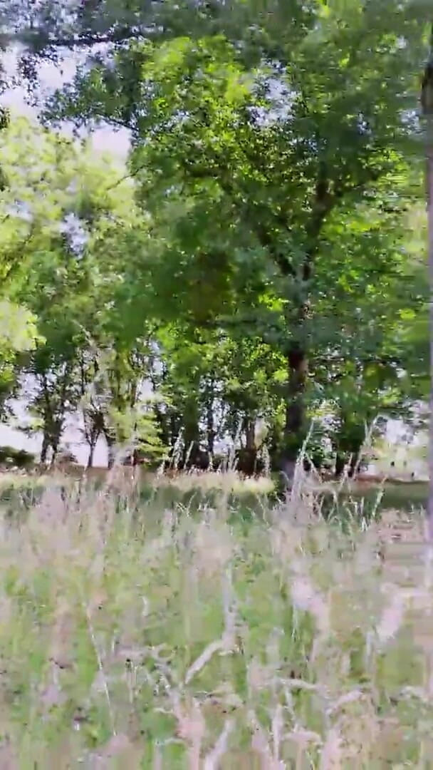 Slutboyben: Slutboyben cam4 con lợn khoe hàng gợi cảm nơi công...