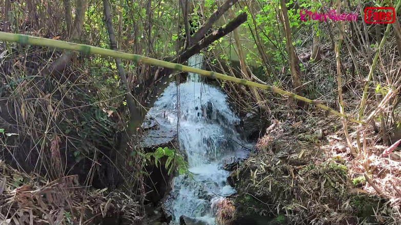 Riderqueen: Pengembaraan Perjalanan, Video Untuk Peminat Saya