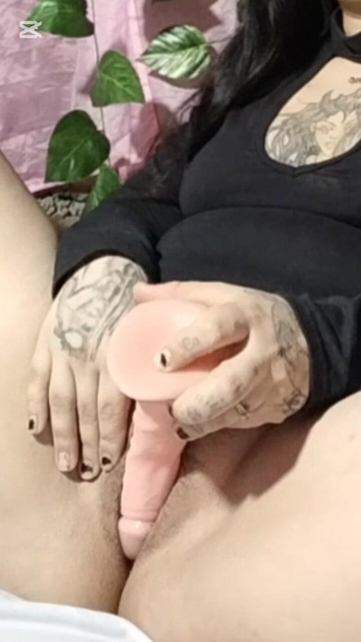 Dalyla: Colombia Arrecha