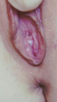 Baise vaginale en gros plan