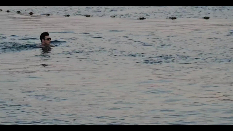 Snauwflake: I Like to Swim