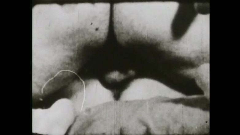 Vintage Megastore Full hd: Bermain dengan kelinci