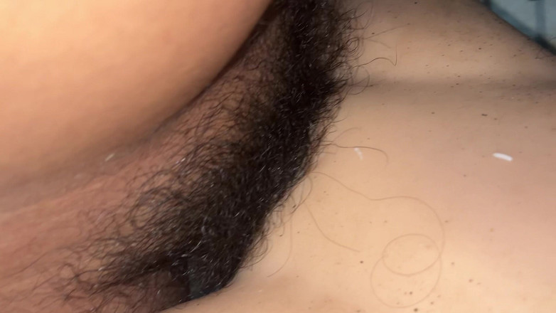 Gabo: 우유 꺼내기