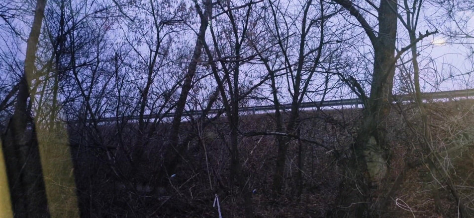 AlexGay: 핫 크루즈, 낯선 사람이 내 바지에 들어와 차에 콘돔없이 고속도로에서 나를 따먹어