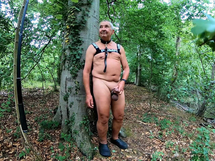 Andy: भाग 2 चलना 30