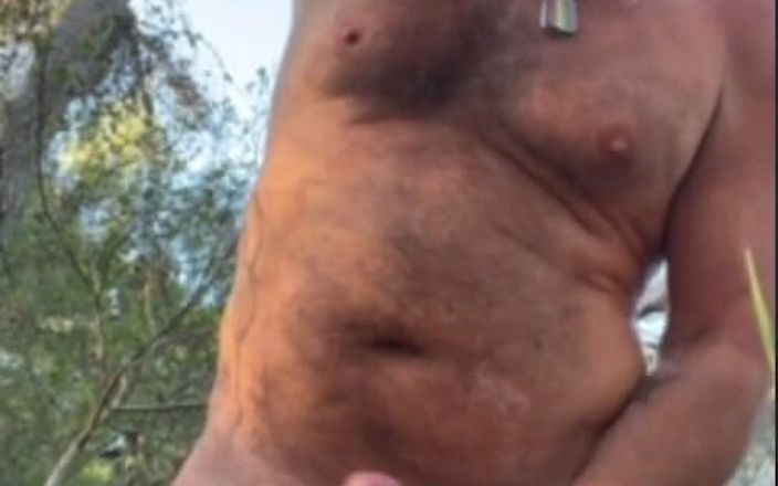 Daddybearvlc: Meine normale geschichte - muss wichsen