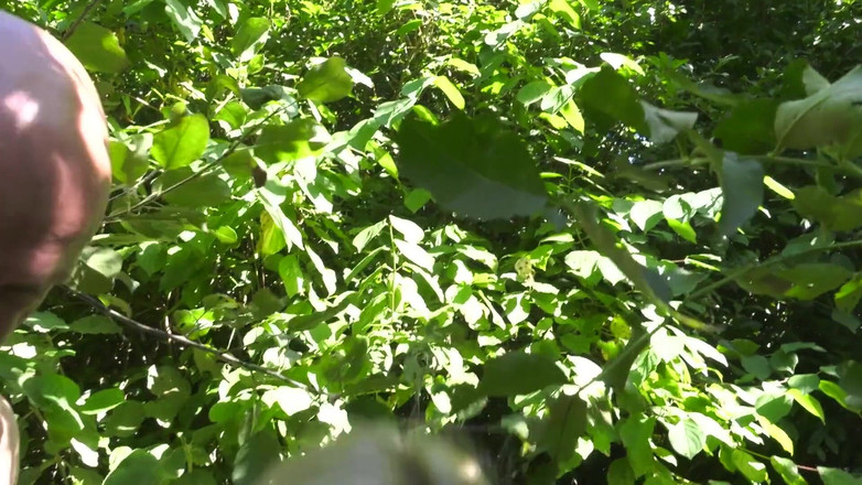 HPG Production: Increíble rubia milf chupa gran polla francesa 5200