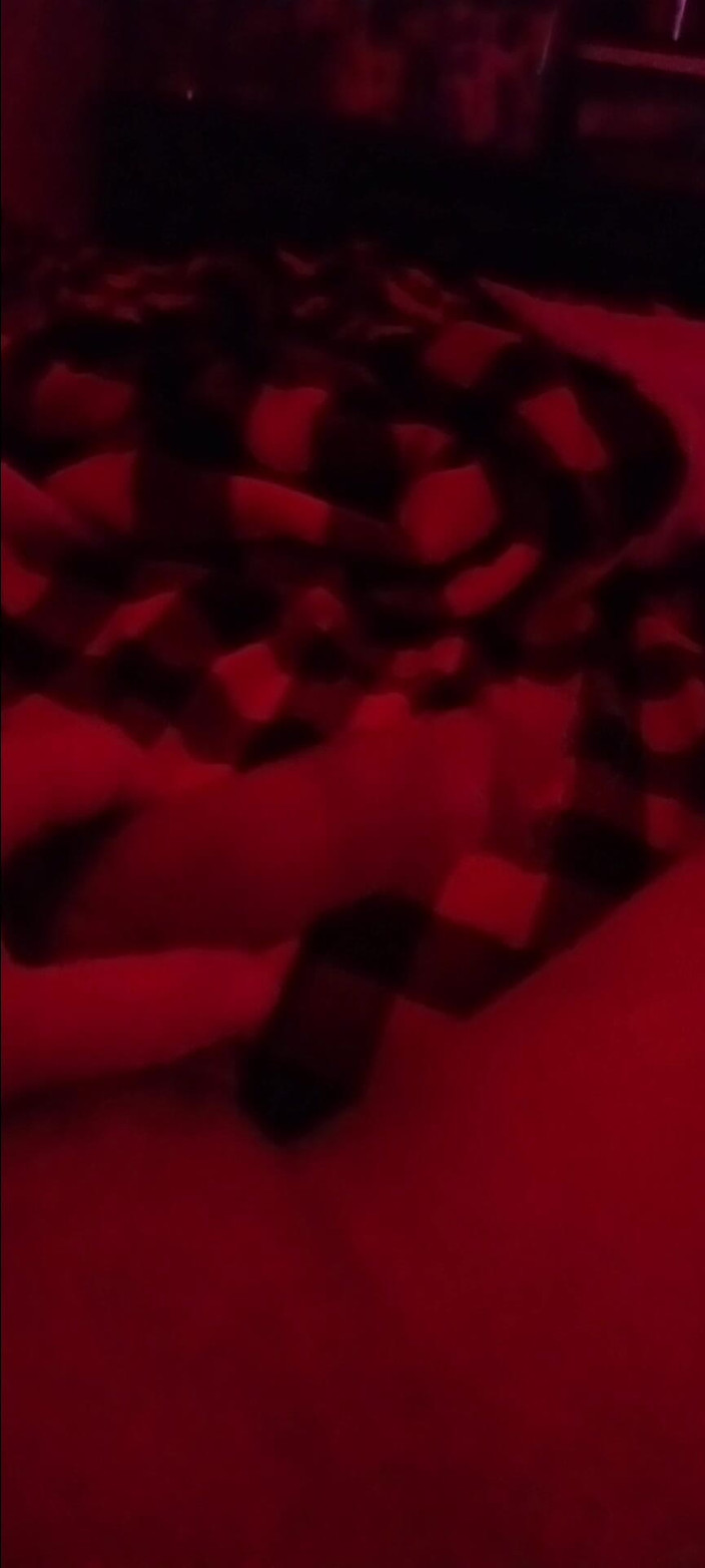 Jcrazy: Acariciando Jcrazy86