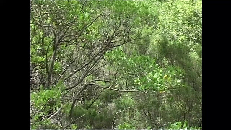 XTime Vod: Empurre seu ip de pau grande para minha bunda apertada...