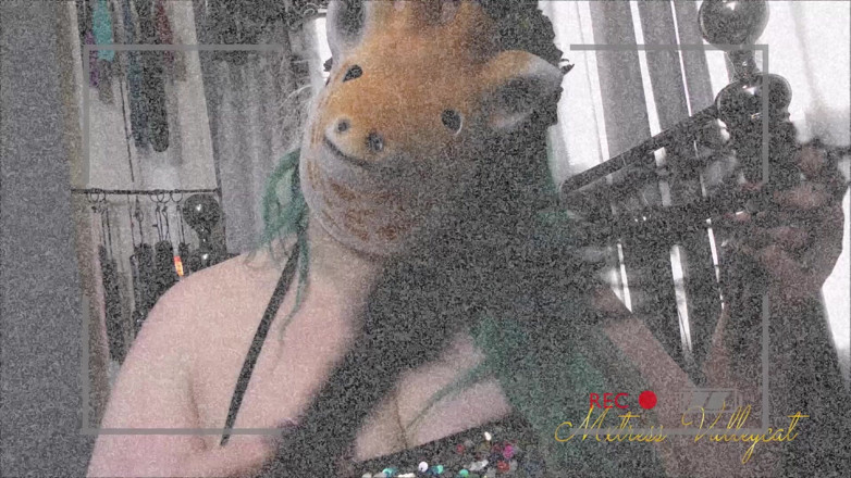 Mxtress Valleycat: Purge night - Your porn