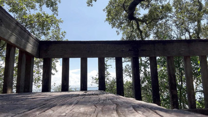 Justin Birmingham: Cewek sange ini dientot habis-habisan sampai mengerang keenakan di hutan