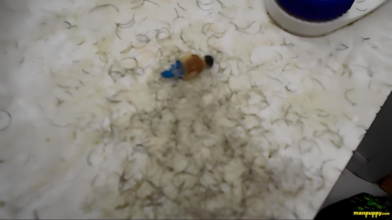 Man Puppy: Učí tě oholit - Táta Giant 8