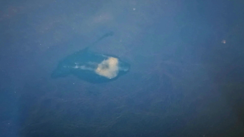 Mark Hannes: Thủ dâm nhanh chóng mạo hiểm trên sàn nhà kho