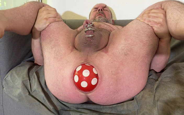 Qualzucht: 내 가난한 후장!!