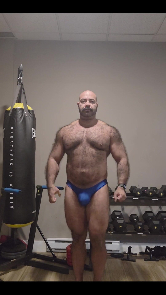 Lobo: Muscular