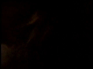 Lucky Cooch: Si rambut coklat amatur bermain dengan jurukamera dan kawannya