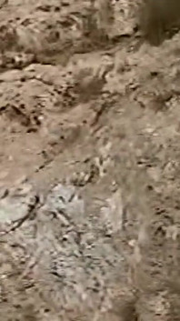 Horny Redhead Babe Fingers Pussy on Wild Beach