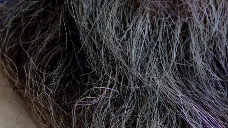 JJ7779: Kenar seansı 7