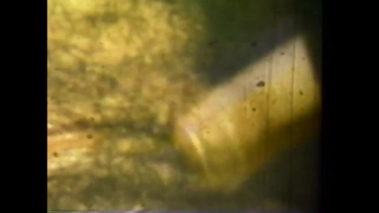 The Unforgettable: Masturabada gila