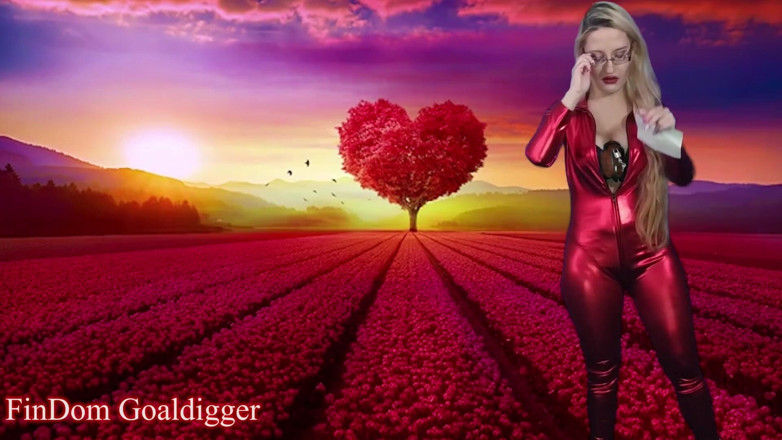 FinDom Goaldigger: Laatste joi in je leven! Instructies voor kuisheidskooi