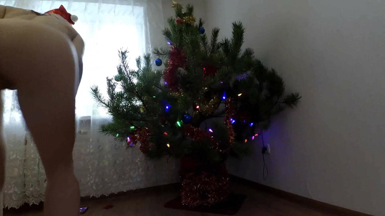 SexyFairyTale: My ass is near the Christmas tree!!!!