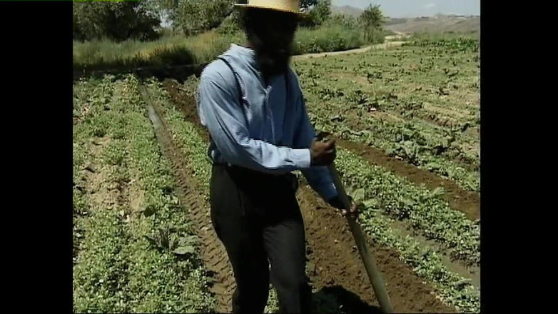 Heatwave Porn: Domácí v haystacku, část 1