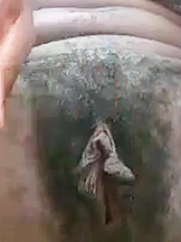 Barqueen: Téměř Přistižena Venkovní Masturbace