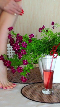 Petunia