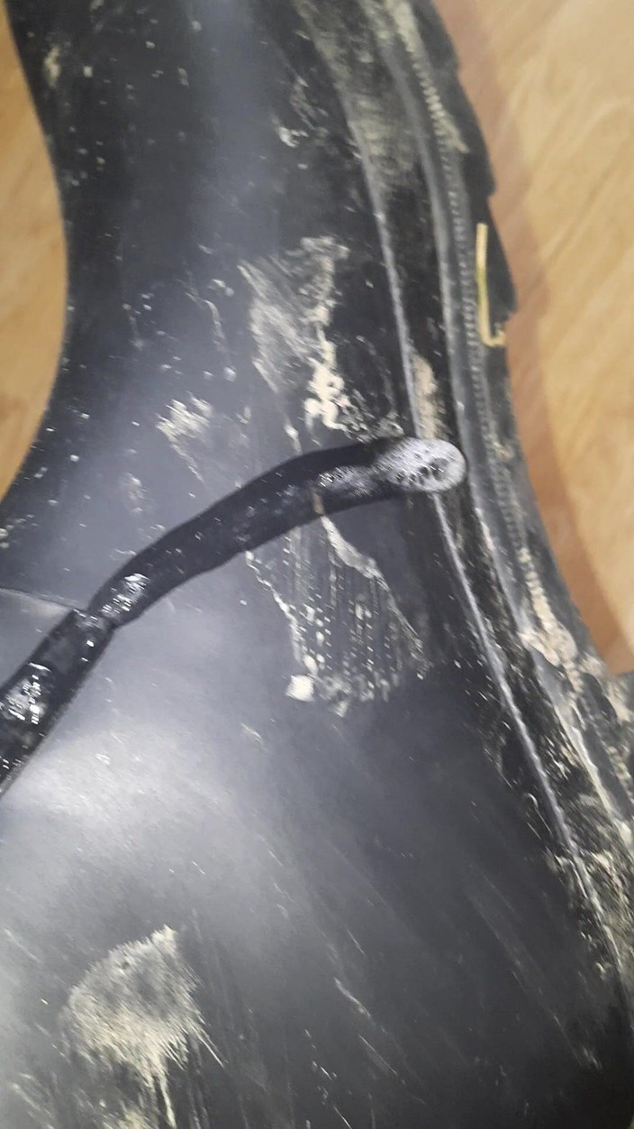 SinDee: Đít cao su bẩn thỉu với quần da