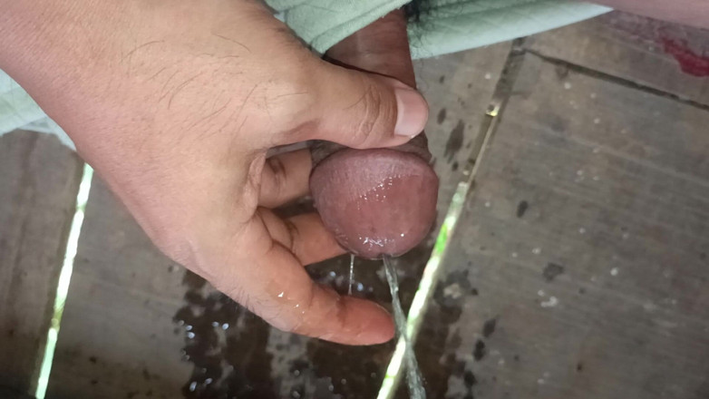 Renata Himalaya: Hot Big Dick Masturbates in Public Until Cum