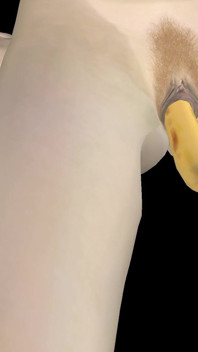 Animierter 3D-porno - sehr schönes mädchen masturbiert mit banane bis zum orgasmus