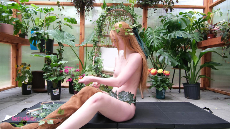 Destination Kat: 在温室里戏弄