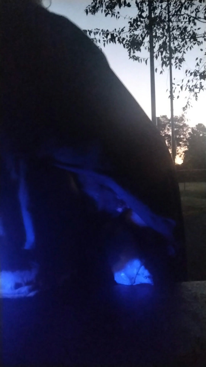 SissySlutUsed: Sissy děvka bere obrovské domácí dildo venku na Greenway před...