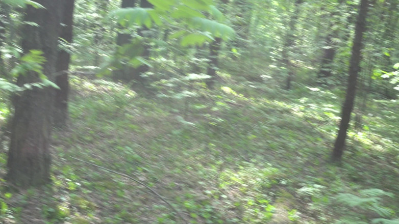 Jessahk: Brachte einen typen in den wald und gab ihm einen...