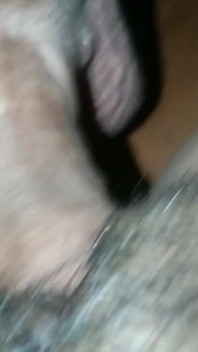 Chubby Pussy