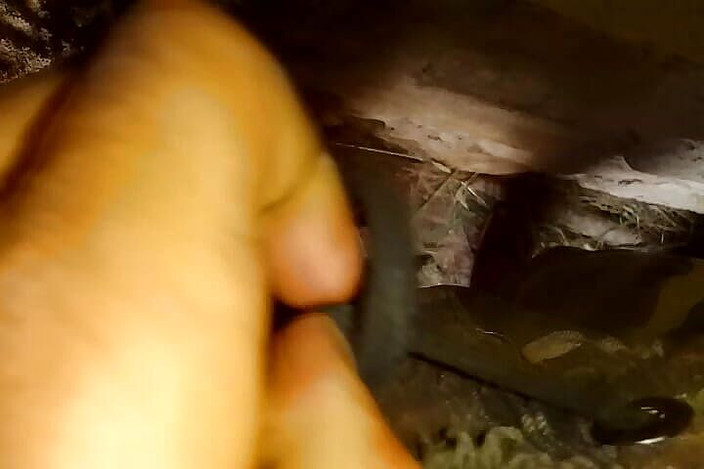 Gangbang straight: Pișă-te pe Seoul's Man