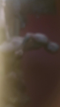 Fat bitch want to be fucked hard