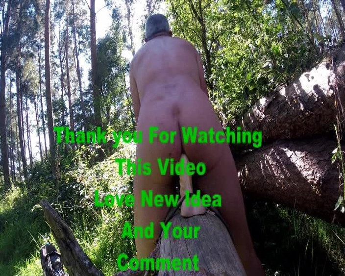 Andy: 在树林里骑乘登录