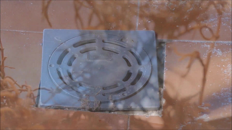 Natalie K: Masturbace, prstění, sání robertku a nahé sprchy Tento Halloween 25 sperma...