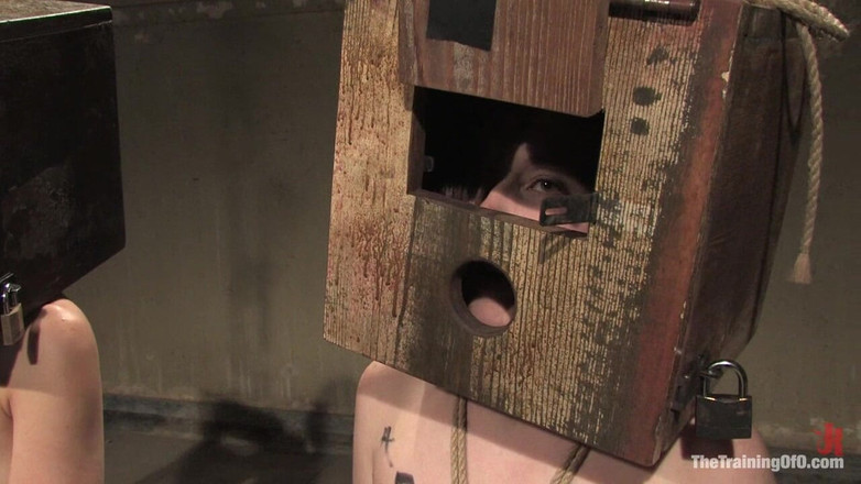 The Training of O by Kink: Denetimler Bölüm Üç