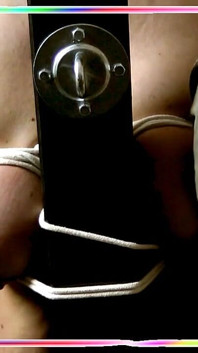 Use Me However You Want - as Long as I Get Sperm.