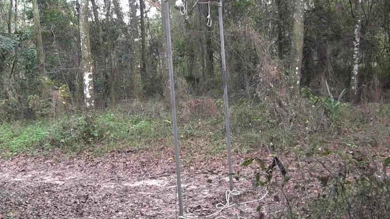 Bad boys bootcamp: Captive Jacked in the Woods